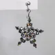 Star - Earrings Pavo - 1